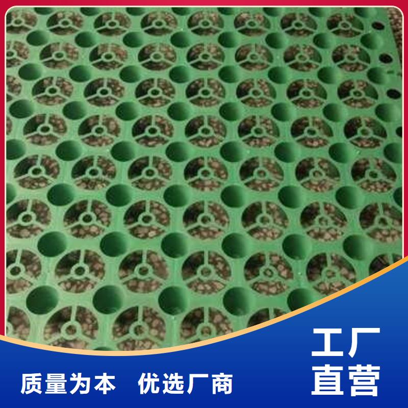 排水板涤纶土工格栅厂家供应