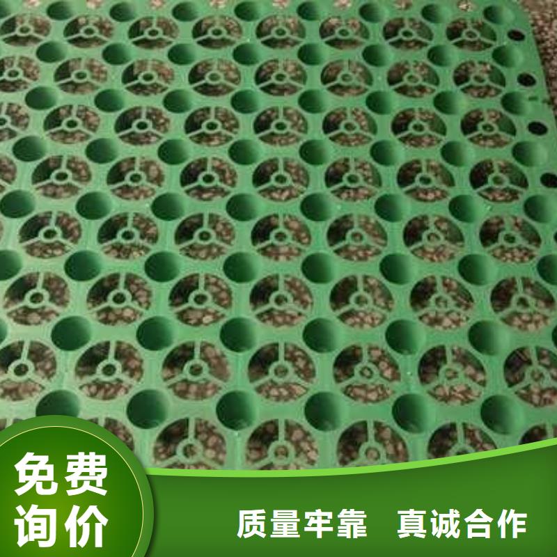 【排水板】-短丝土工布量大从优