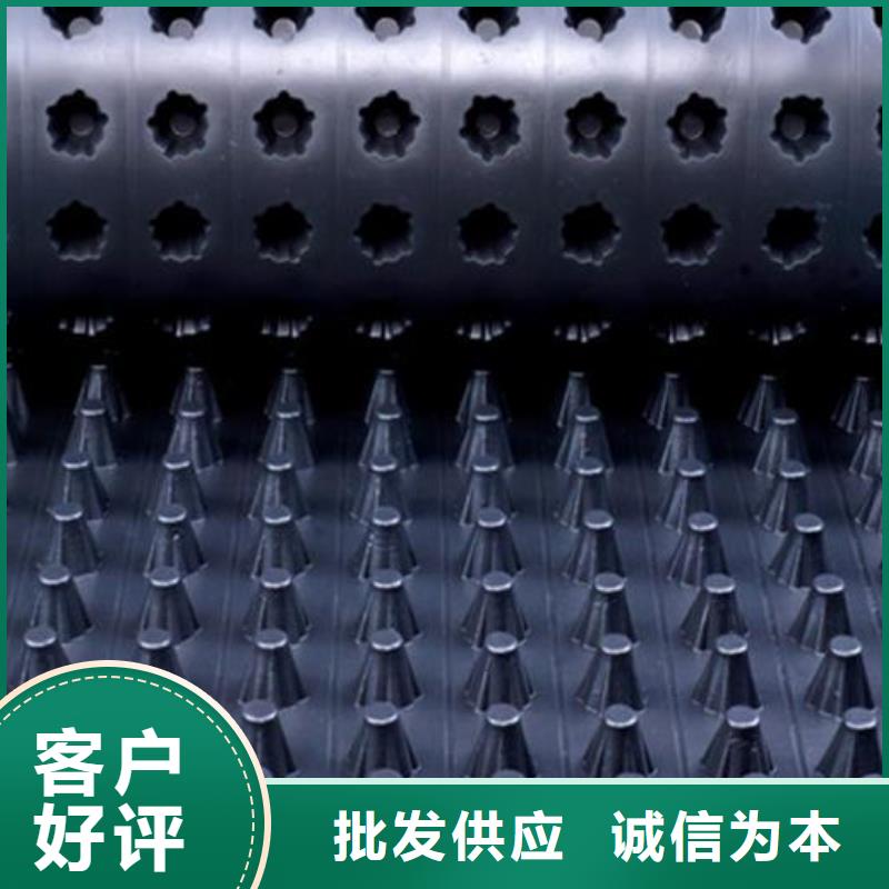 塑料排水板_地下车库排水板_屋顶绿化排水板厂家