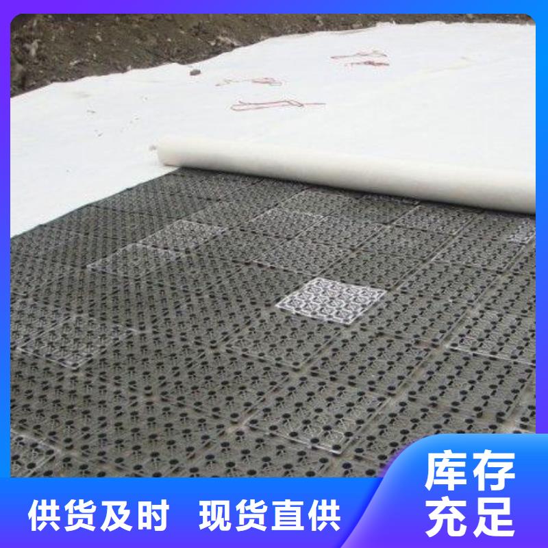 排水板涤纶土工格栅厂家供应