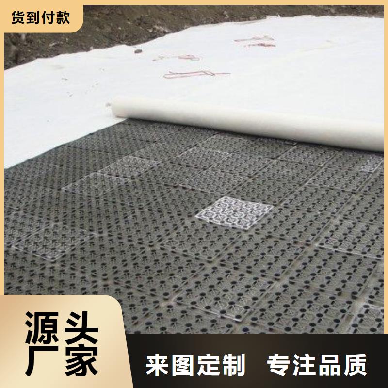 排水板毛细排水板设计合理