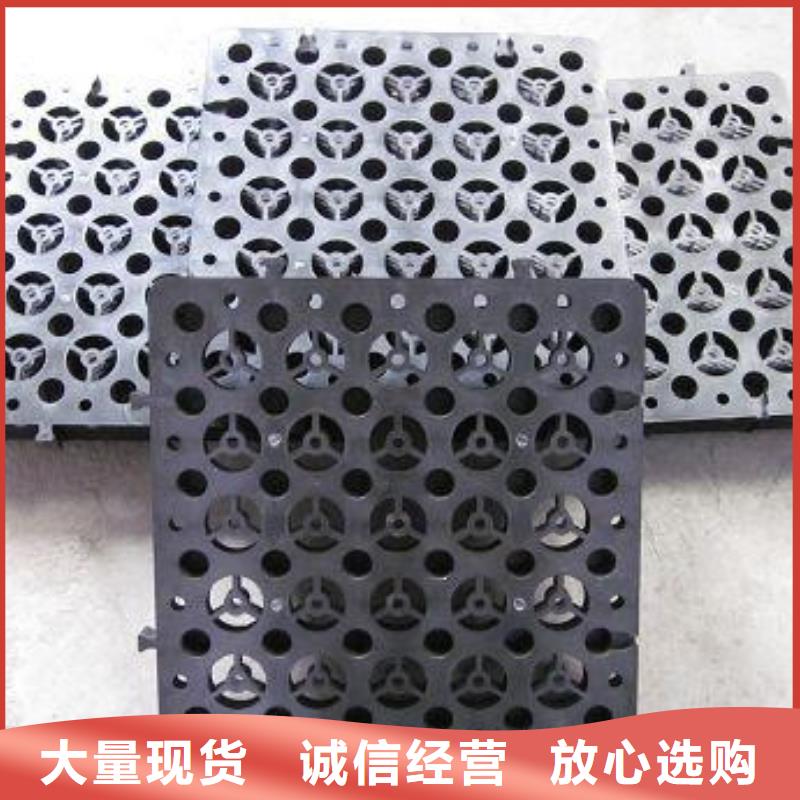 【排水板】蜂巢格室现货实拍