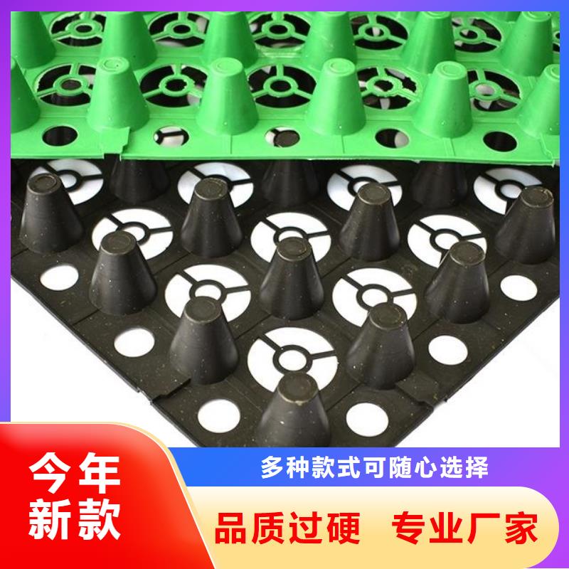 植草格批发-蓄排水板批发-塑料排水板-土工材料厂家-山东亿路通