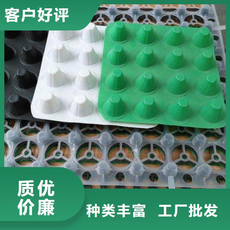 排水板涤纶土工格栅厂家供应