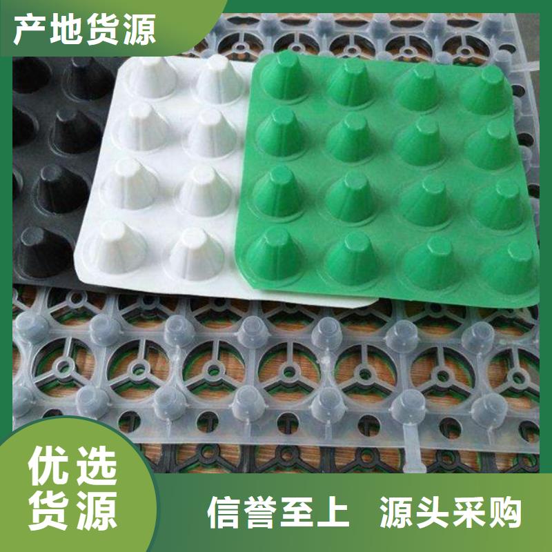 排水板土工格室厂家案例