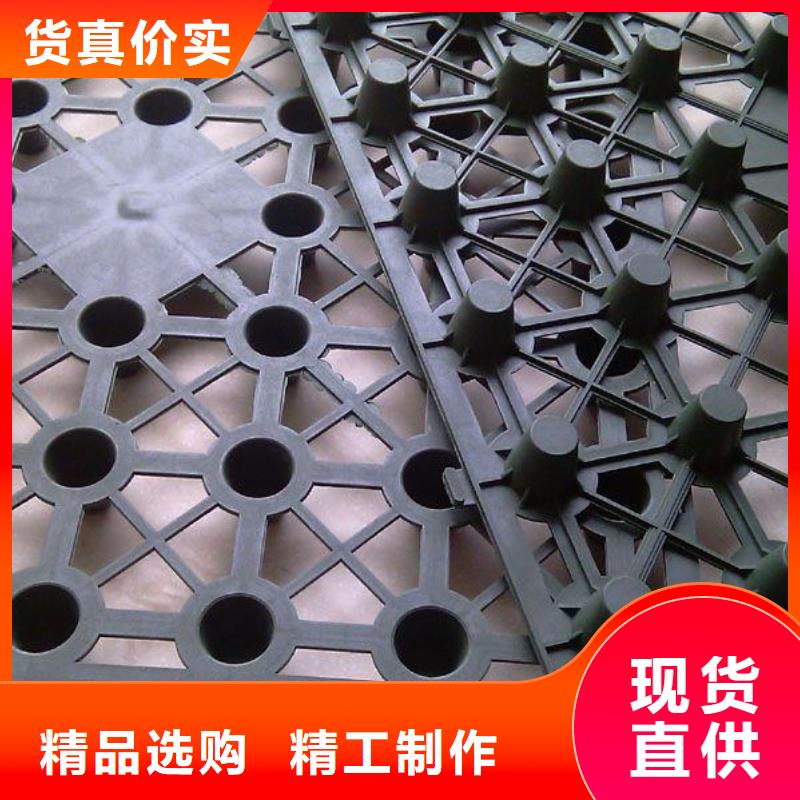 排水板,双向塑料土工格栅买的是放心