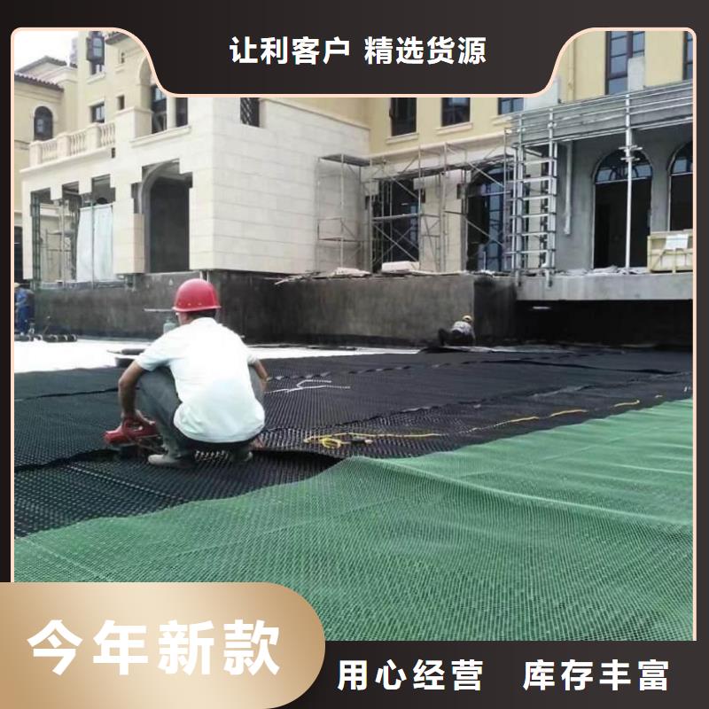 排水板【三维土工网垫】诚信商家服务热情