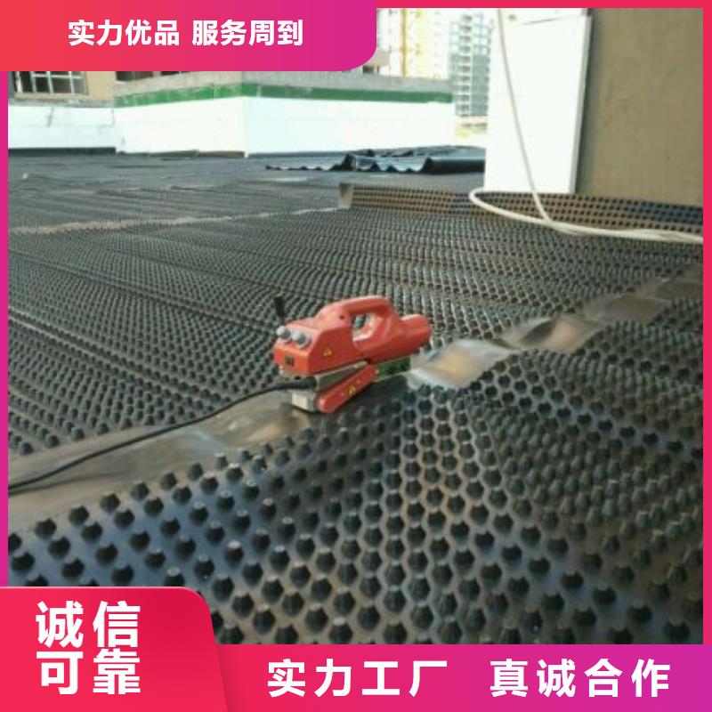 排水板,双向塑料土工格栅买的是放心