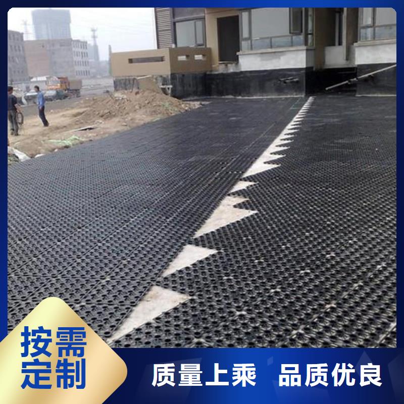 排水板涤纶土工格栅厂家供应