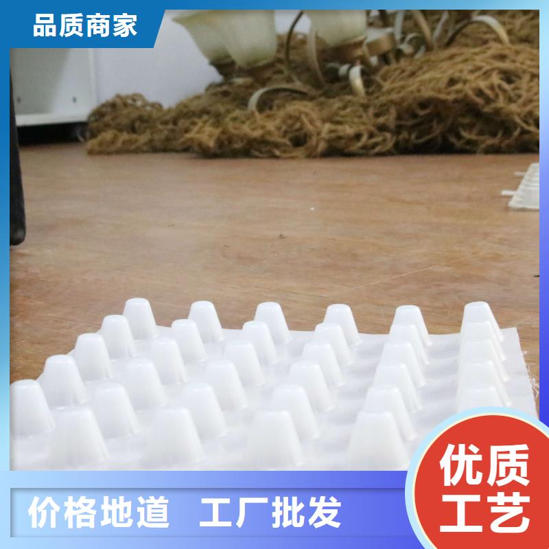 塑料排水板_地下车库排水板_屋顶绿化排水板厂家