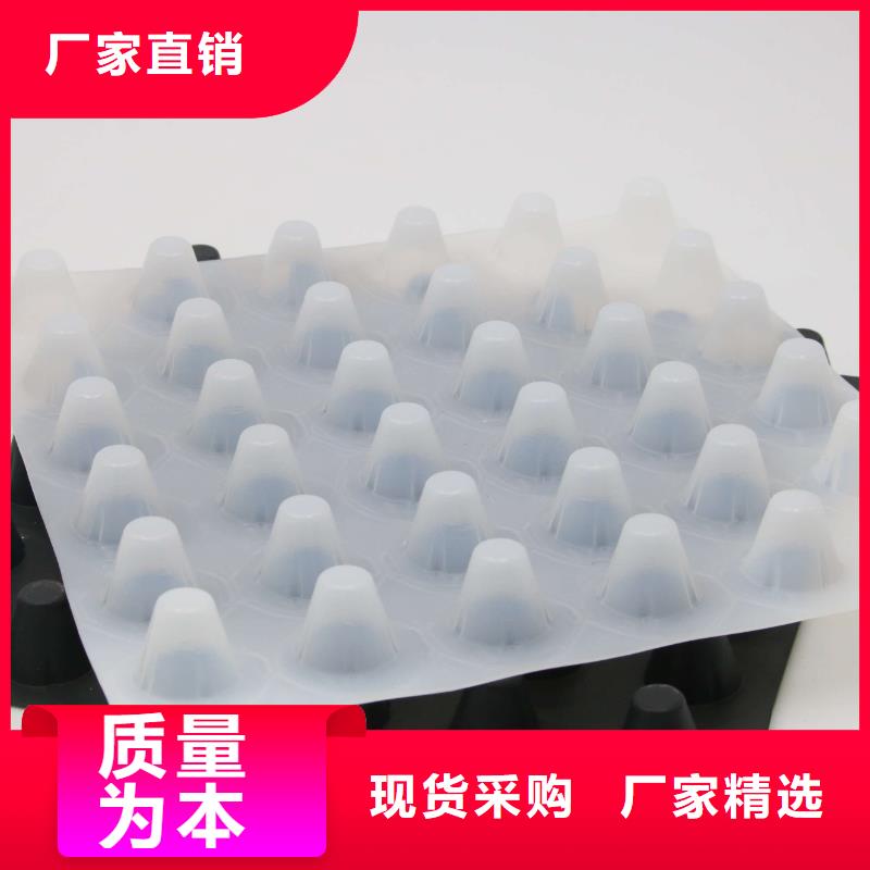 塑料排水板_地下车库排水板_屋顶绿化排水板厂家