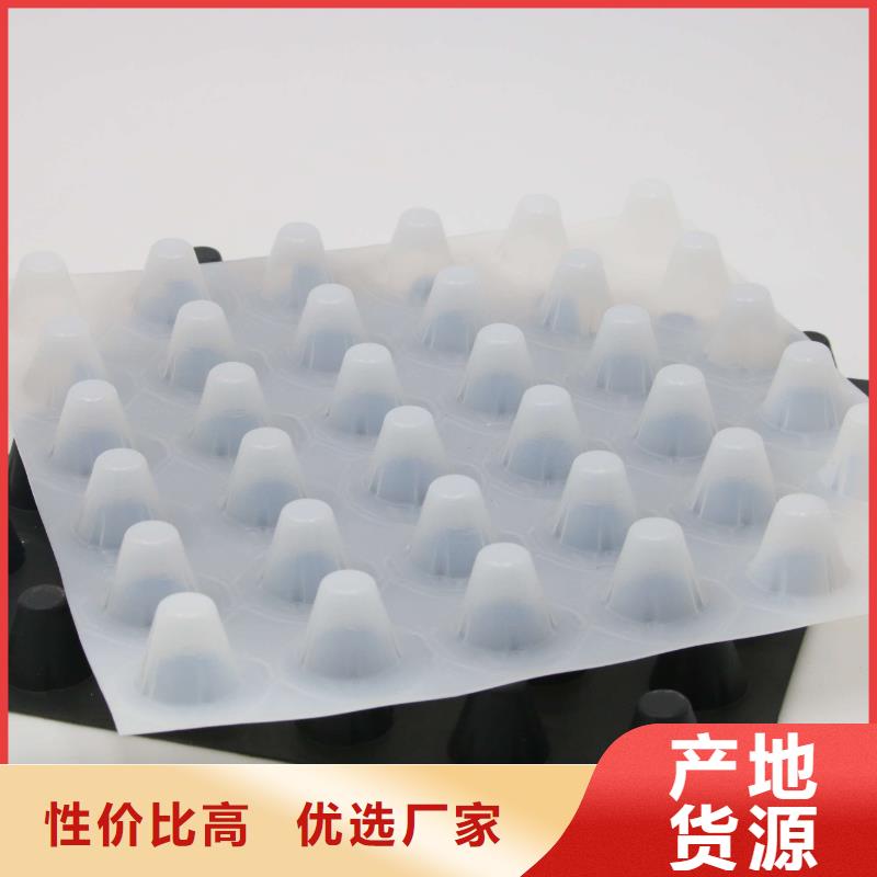 排水板,双向塑料土工格栅买的是放心