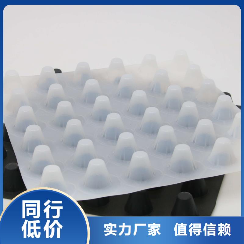 排水板,双向塑料土工格栅买的是放心