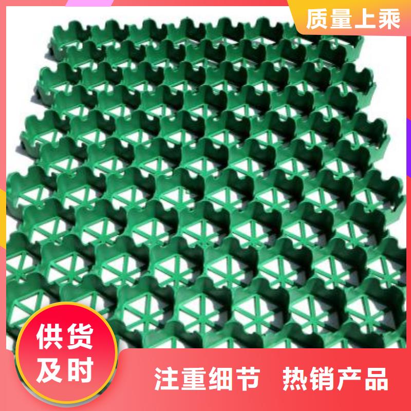 植草格单向塑料土工格栅质检合格发货
