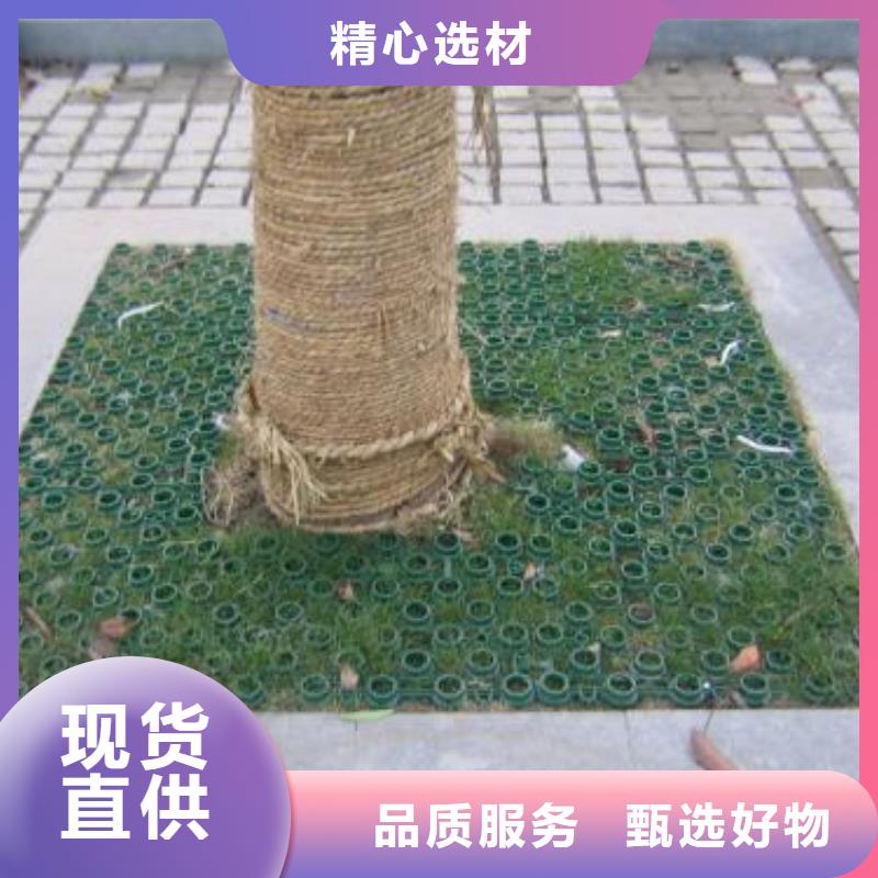 【植草格-土工格室通过检测】