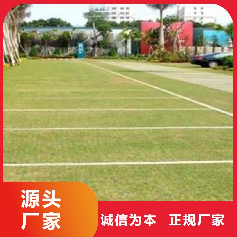 【植草格-土工格室通过检测】