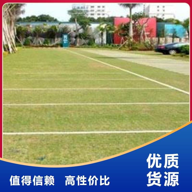 植草格单向塑料土工格栅质检合格发货