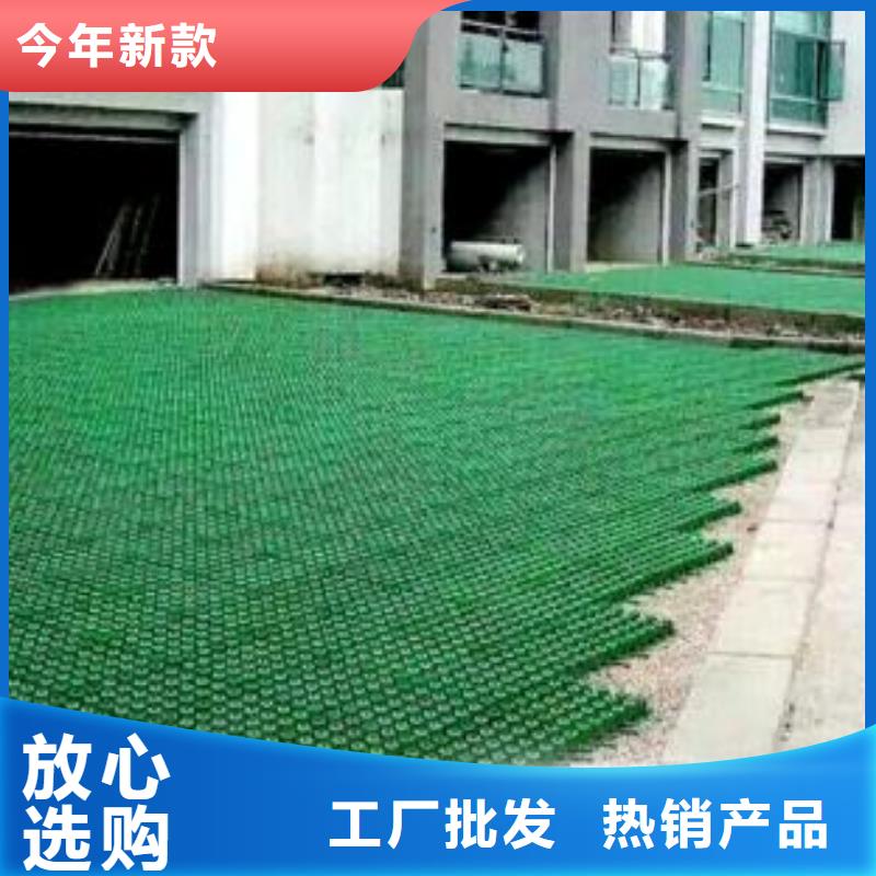 植草格涤纶土工格栅实体厂家支持定制