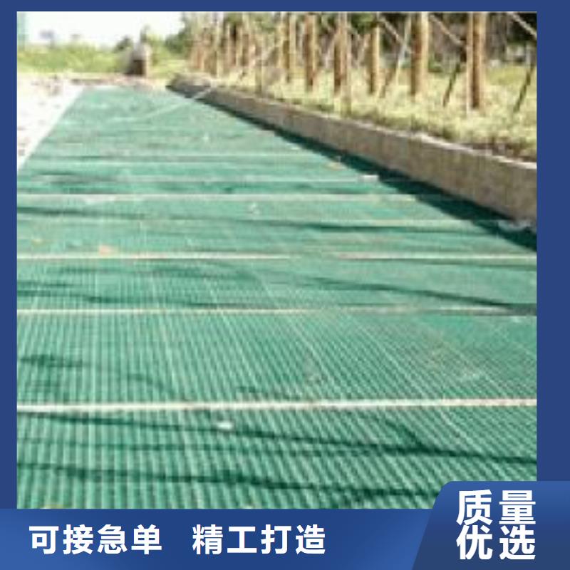 植草格涤纶土工格栅实体厂家支持定制