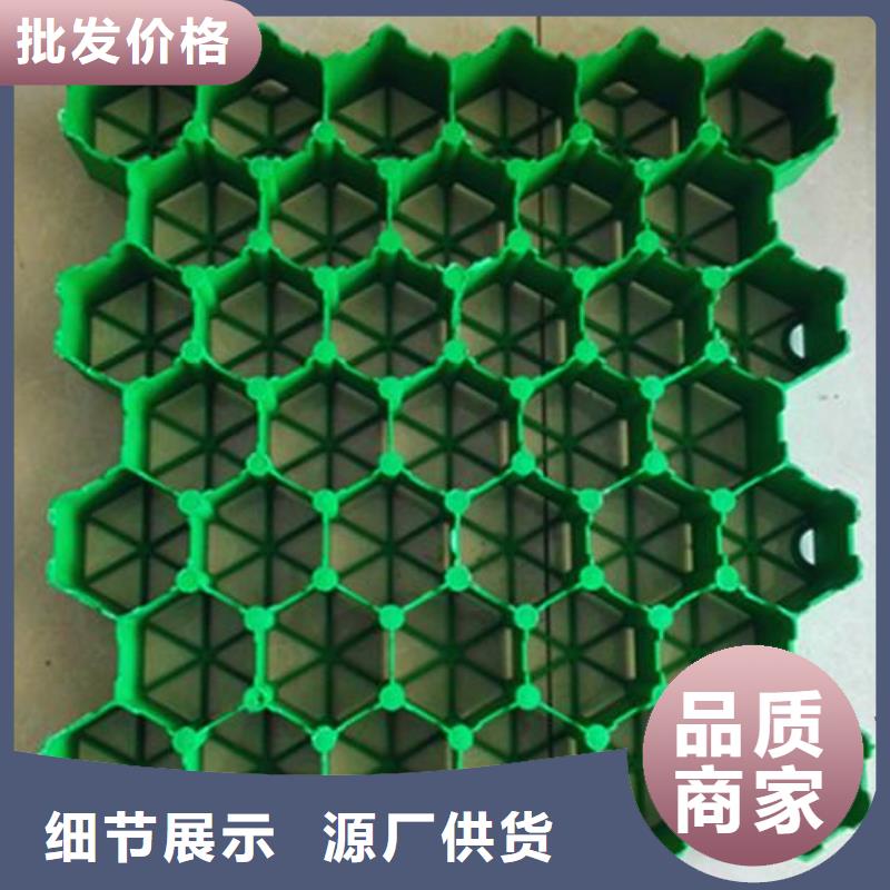 【植草格】蜂巢格室货源足质量好