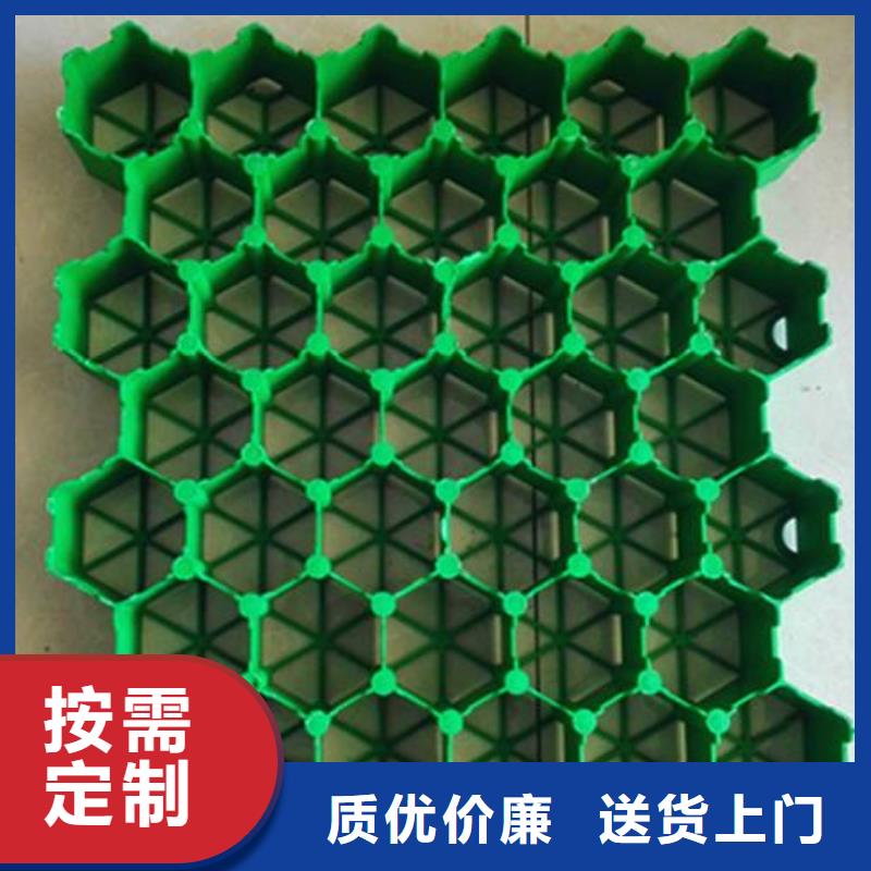 植草格单向塑料土工格栅质检合格发货