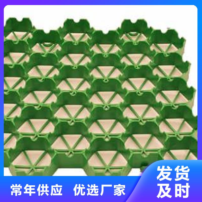 植草格,【HDPE土工膜】厂家恒丰HDPE土工膜