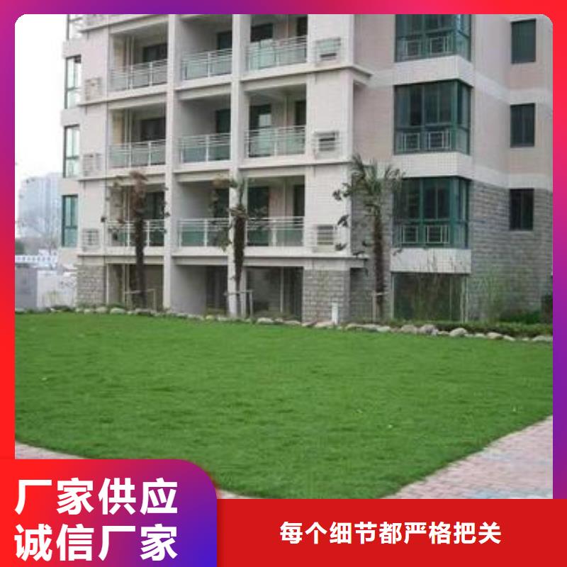 植草格-复合土工膜供您所需