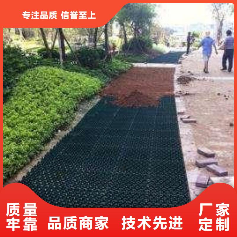 植草格毛细排水板厂家精选