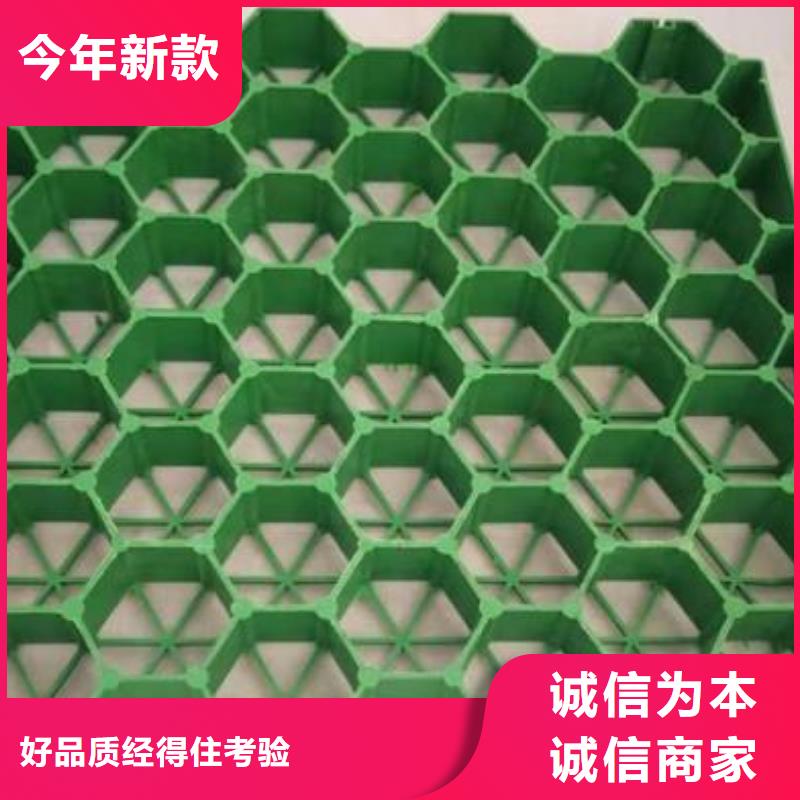 植草格-玻纤土工格栅实力厂家直销