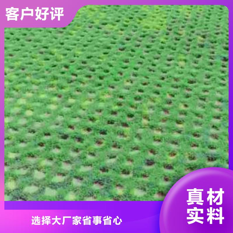 【植草格-土工格室通过检测】