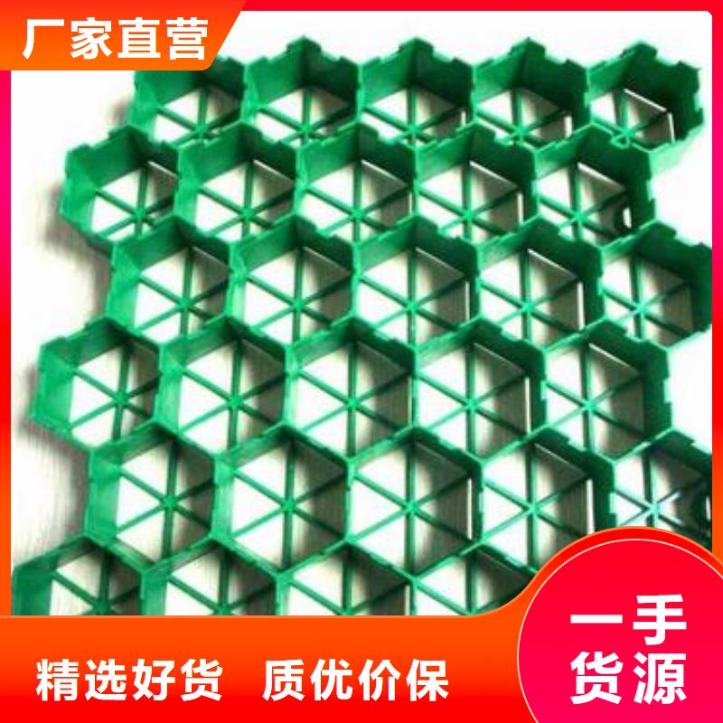植草格【三维土工网垫】质量看得见