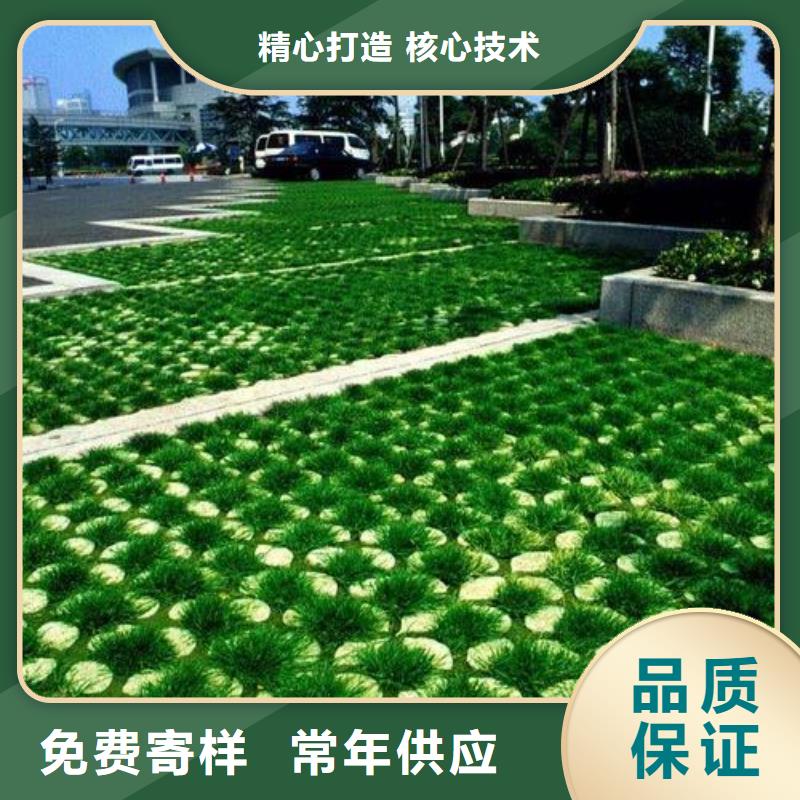 植草格防渗膜用心经营