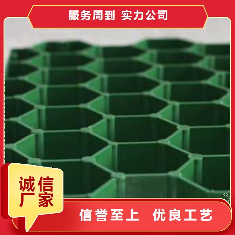 植草格涤纶土工格栅实体厂家支持定制