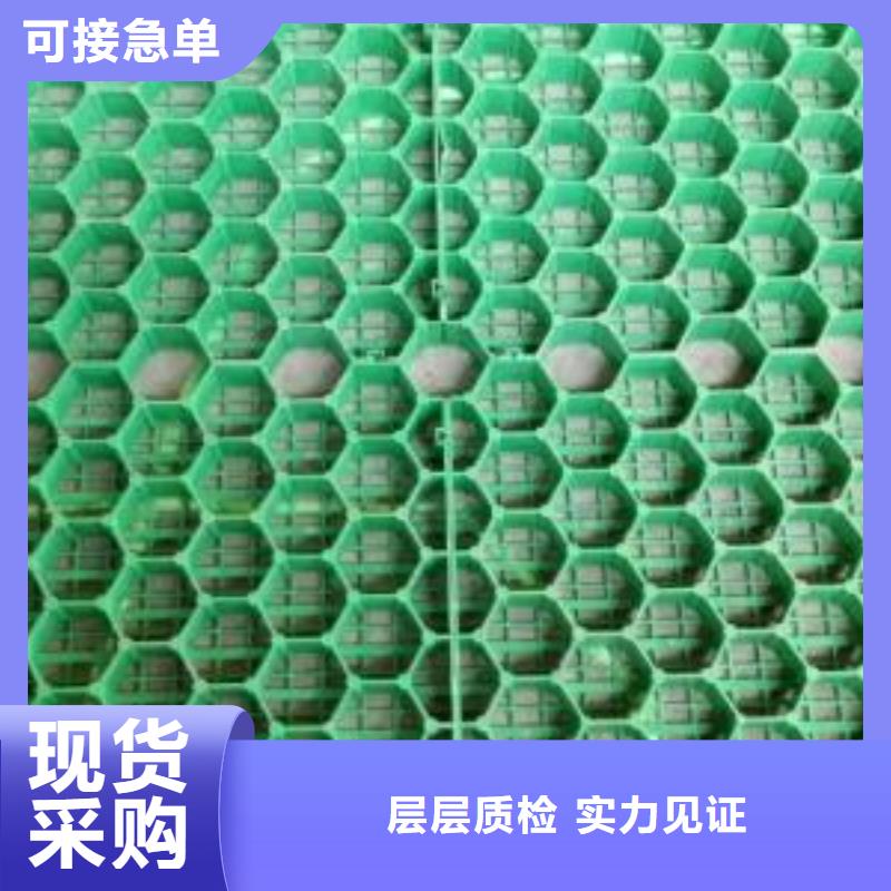 植草格,土工格室源头厂家直销
