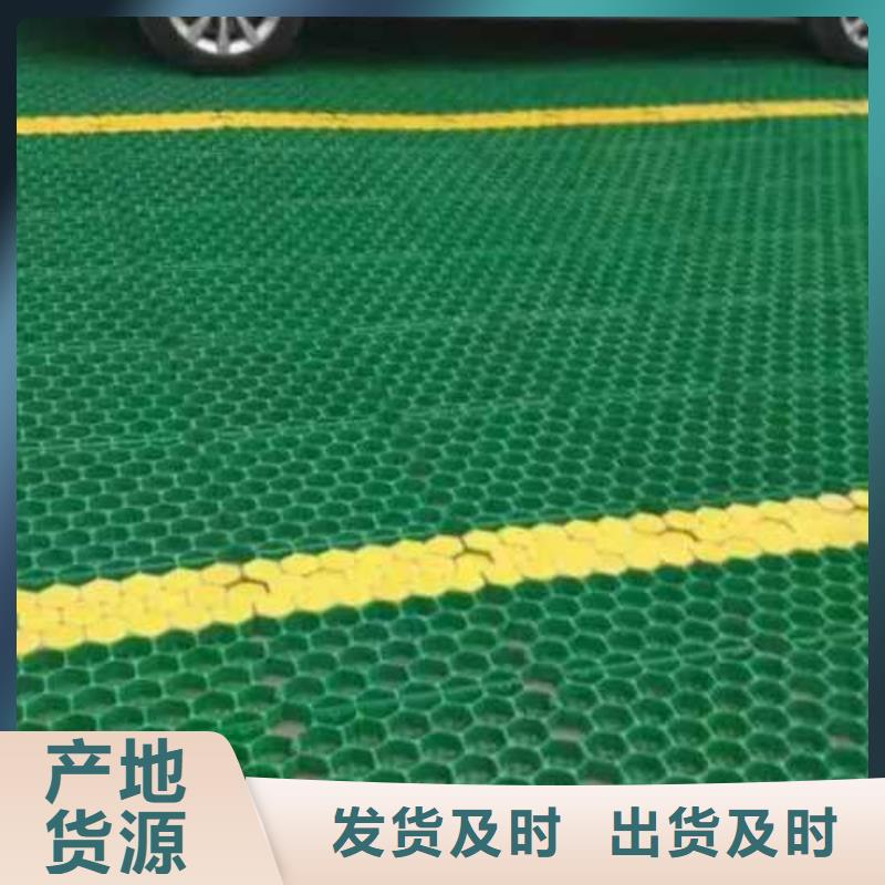 植草格防渗土工膜本地配送