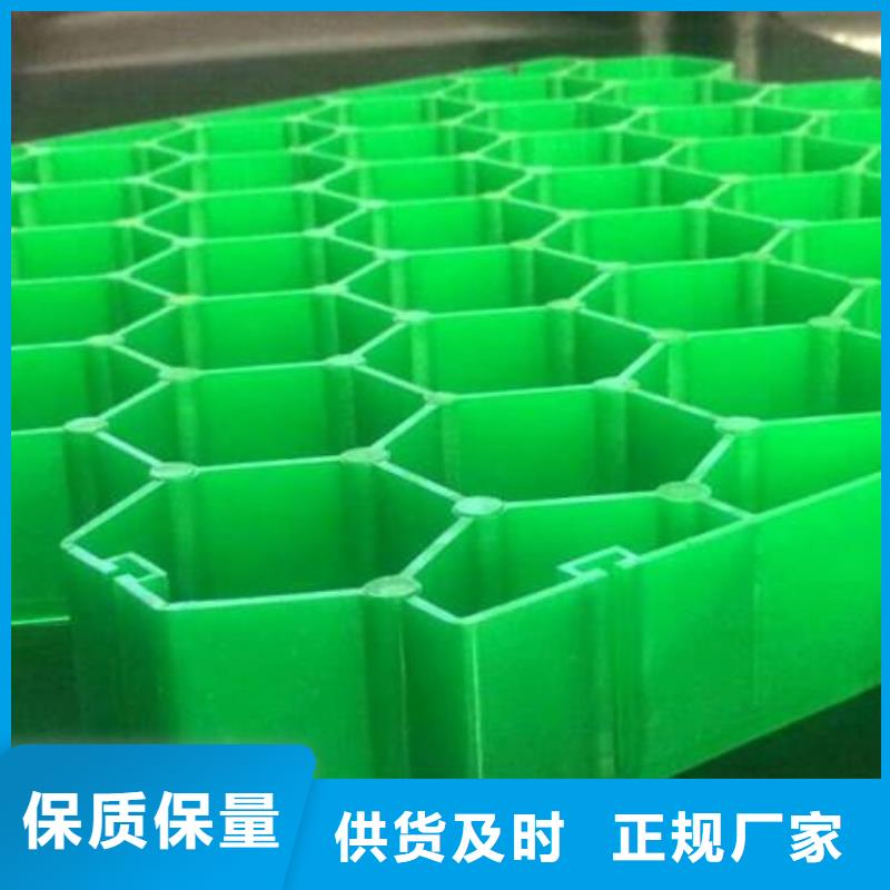 植草格,土工格室源头厂家直销