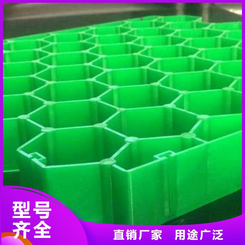 植草格,土工格室源头厂家直销