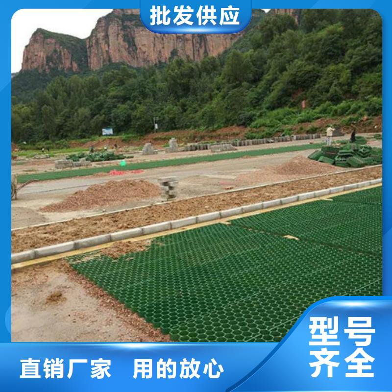 植草格,【HDPE土工膜】厂家恒丰HDPE土工膜