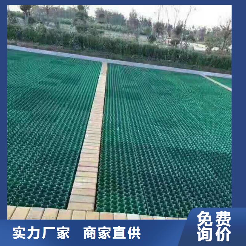 植草格单向塑料土工格栅质检合格发货