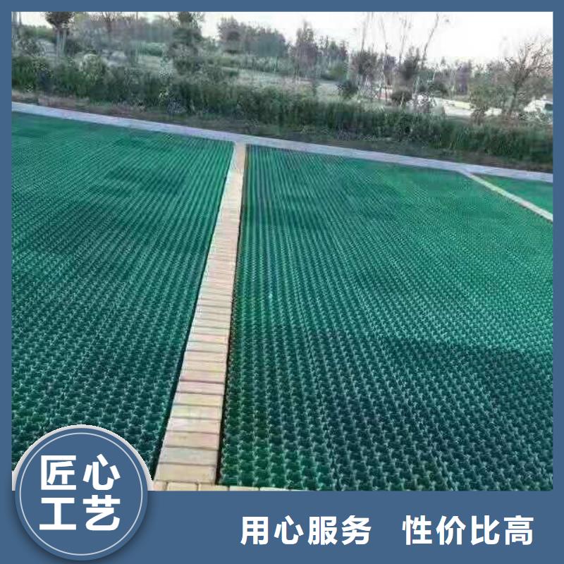 植草格-复合土工膜供您所需