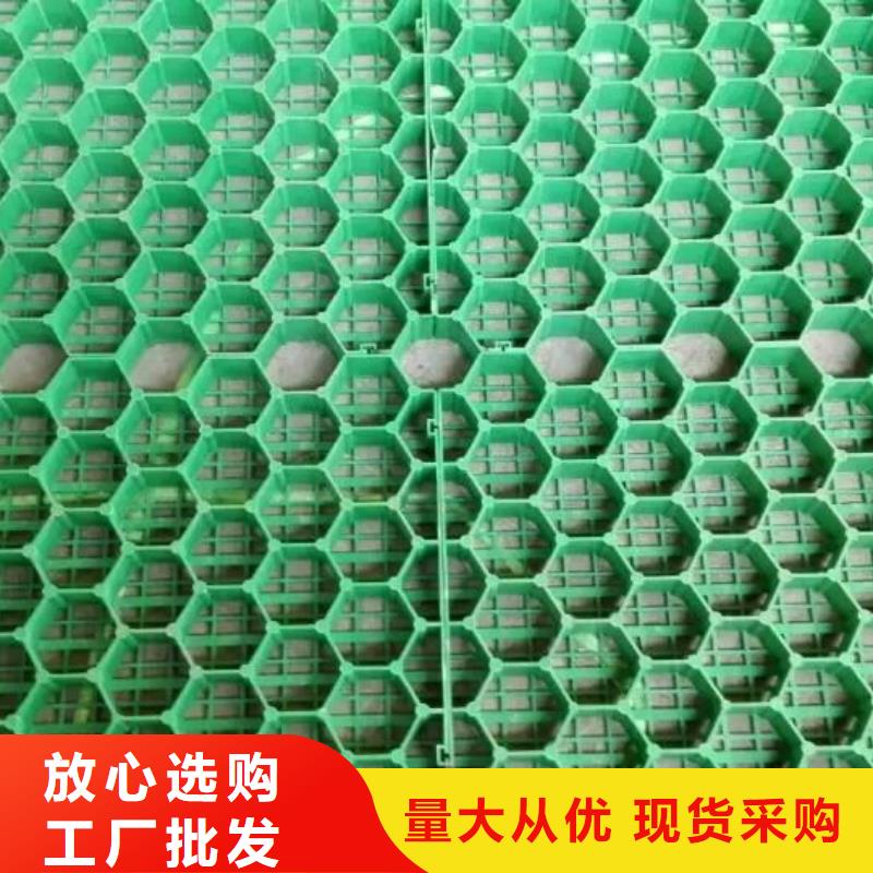 植草格-复合土工膜供您所需