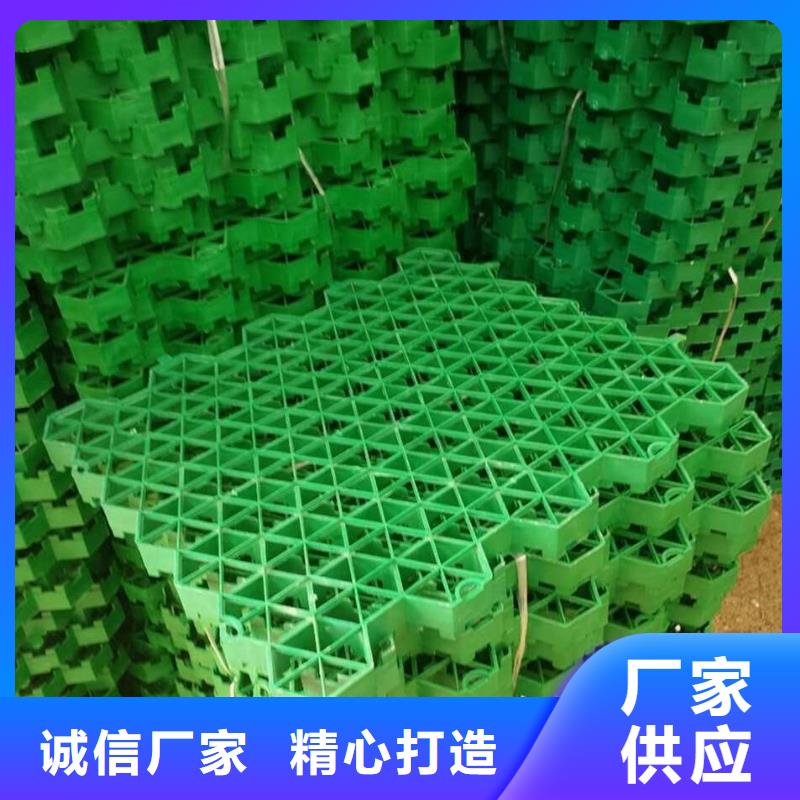 植草格单向塑料土工格栅质检合格发货