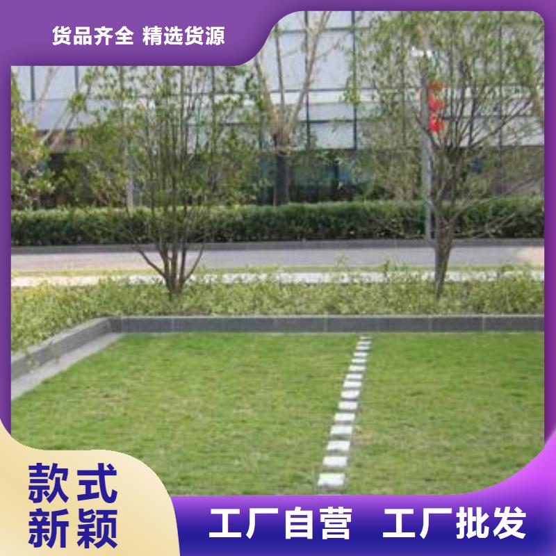 植草格单向塑料土工格栅质检合格发货
