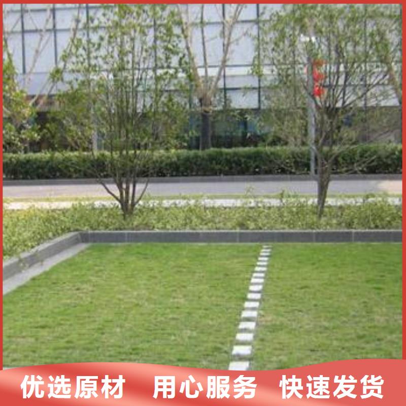 植草格-复合土工膜供您所需