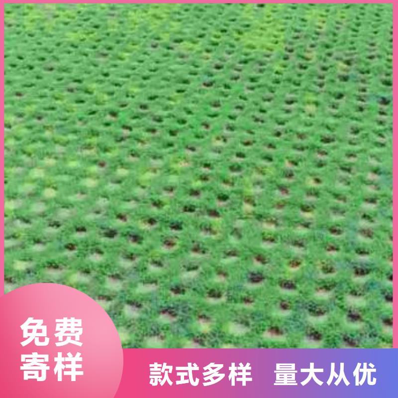 植草格单向塑料土工格栅质检合格发货