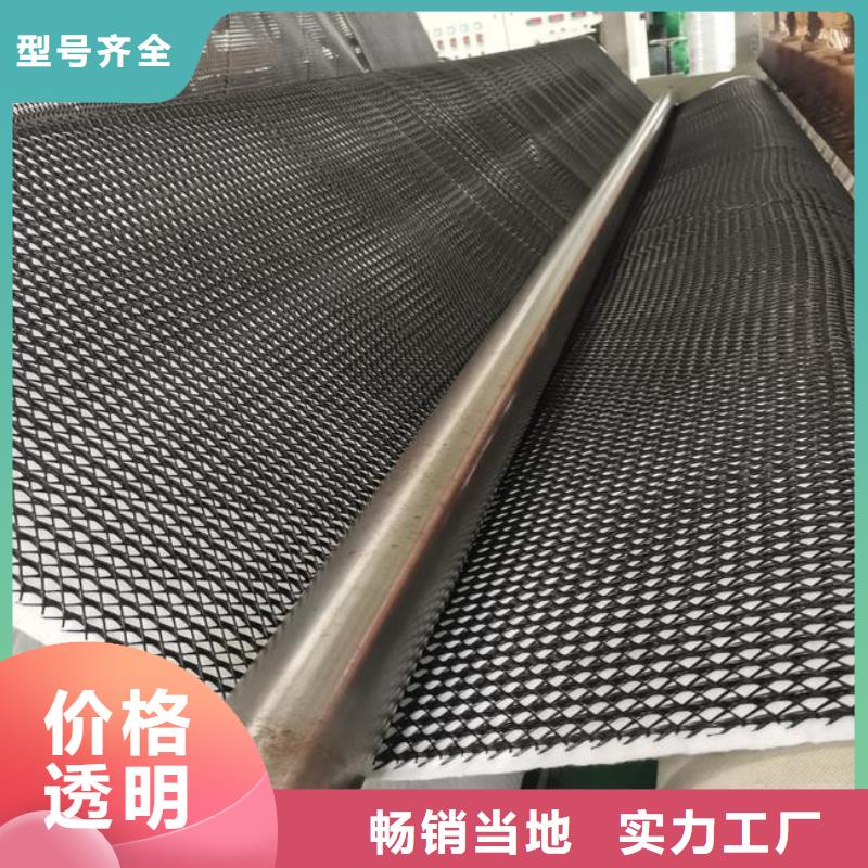 塑料排水网_三维土工排水板_排水网_三维排水网_三维复合排水网