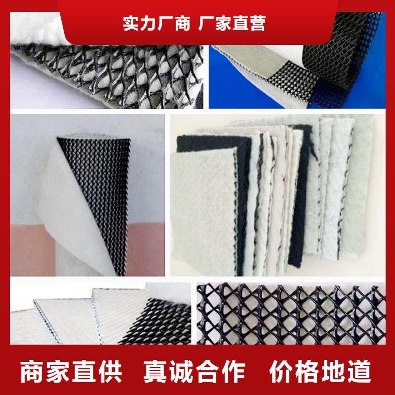 三维复合排水网,【三维土工网垫】制造生产销售