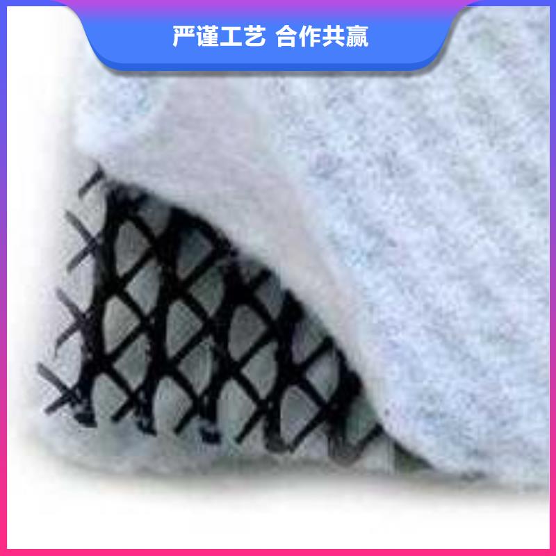 三维复合排水网发货快-生产基地】