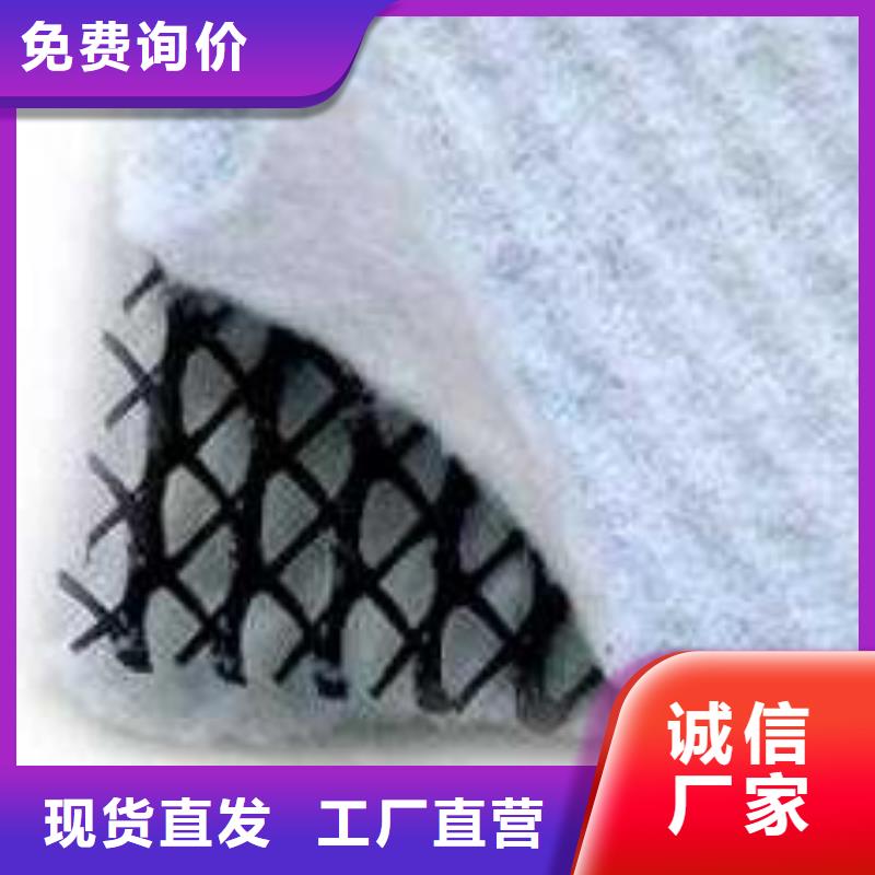 复合排水网、三维复合排水网、排水网格、排水土工格栅厂家