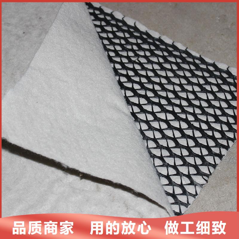 三维复合排水网简介及施工方案
